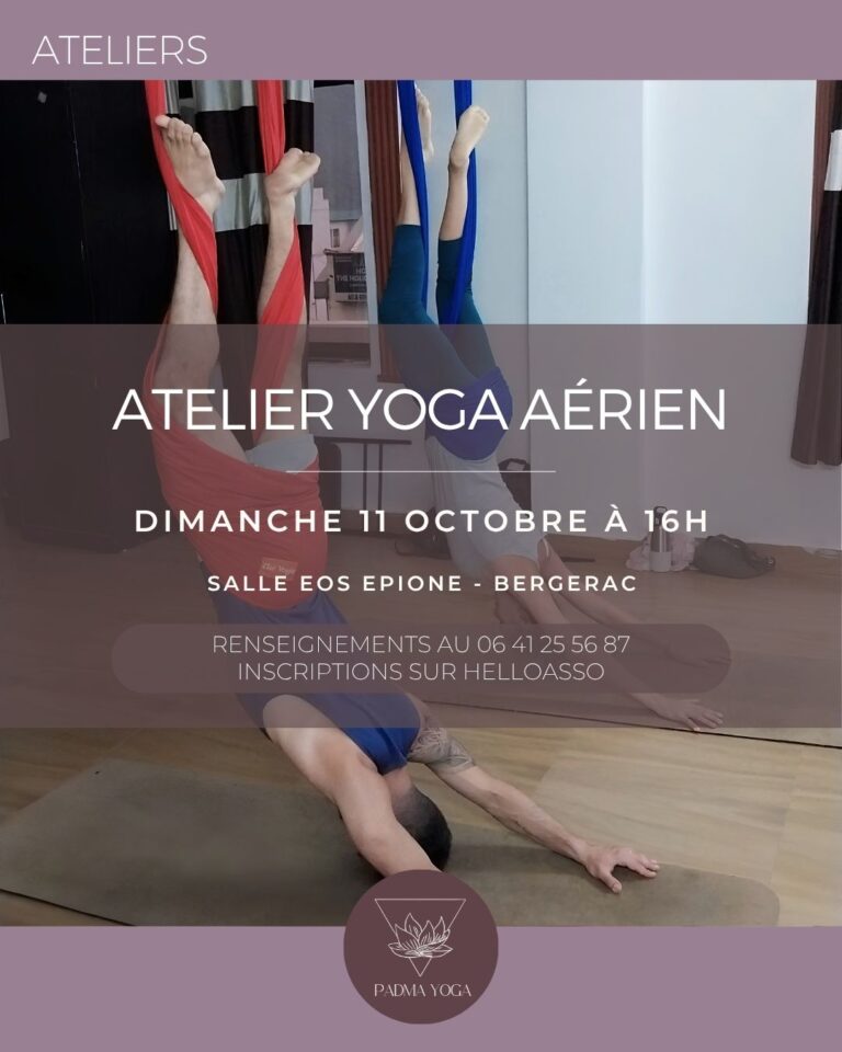 1011 Aérien (1)
